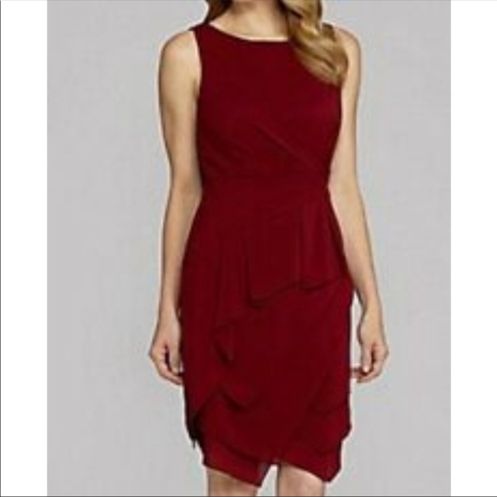 Gorgeous Antonio Melani Dress